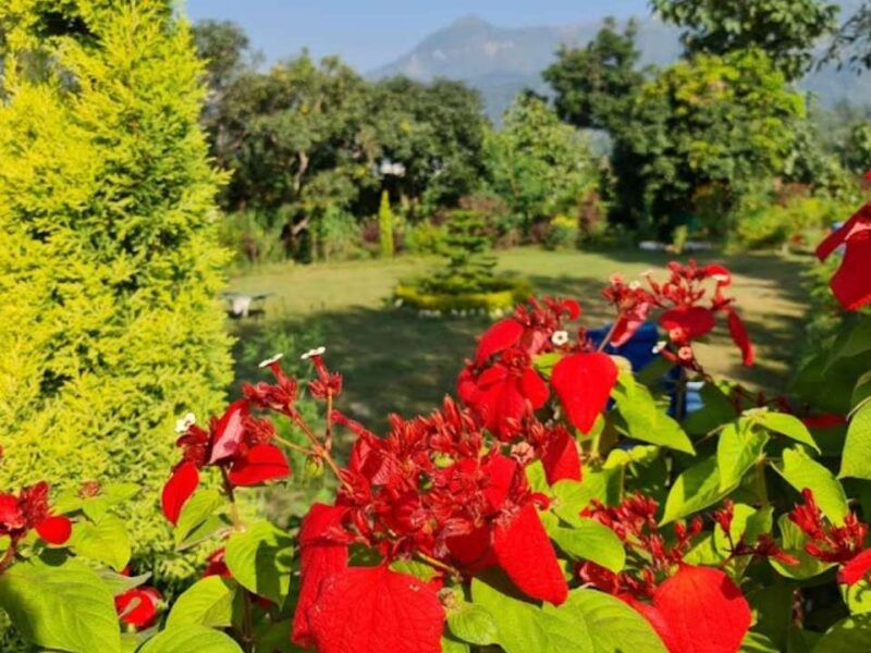 Kotadun Birding Retreat