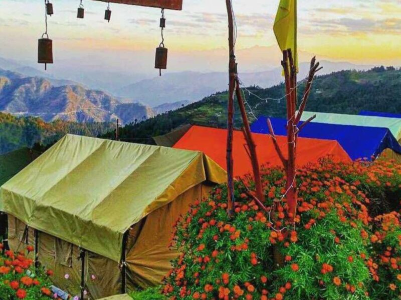 The Kanatal Orchid Camp